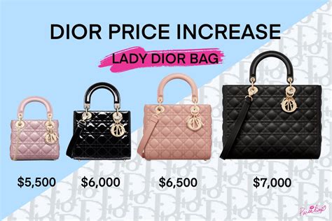 dior bag price|how expensive is Dior.